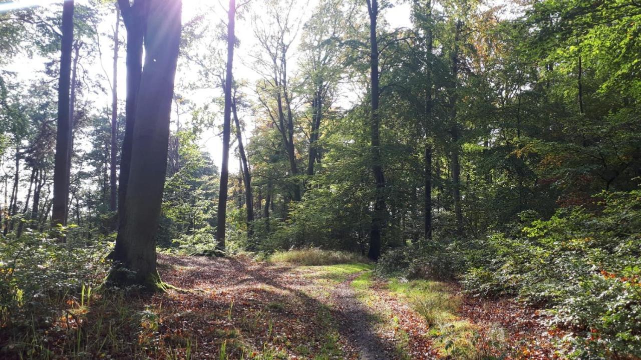 Ferienhaus Piel - Am Inselwald Ückeritz Exterior foto